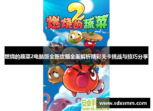 燃烧的蔬菜2电脑版全新攻略全面解析精彩关卡挑战与技巧分享